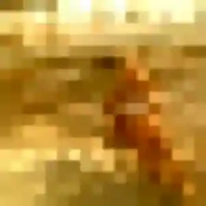 Emeraude de Agde, 23 ans - rencontre coquine discret
