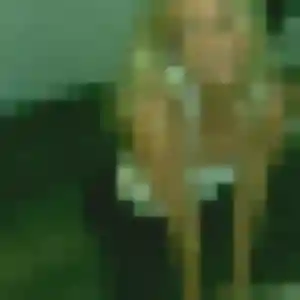 Caroline, fille de 26 ans cherche rencontre coquine à Aizenay