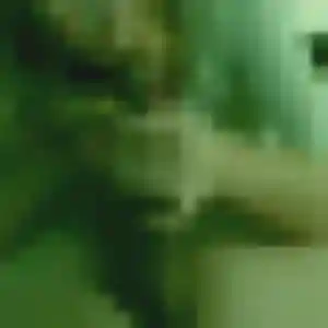 Paloma, 33 ans, connectée à Arpajon pour un rencontre coquine