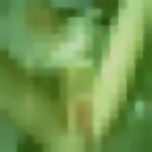Profil de Celeste à Bagneux (28 ans) - rencontre coquine gratuit