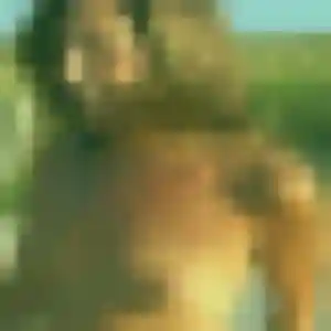 Photo de Garance à Balma (26 ans) - rencontre coquine discret