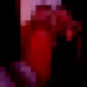 Sixtine (21 ans) à Basse-Goulaine cherche un rencontre coquine rapidement