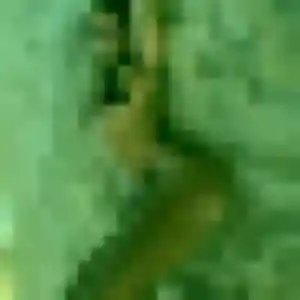 Anne, femme de 44 ans cherche rencontre coquine à Bassens