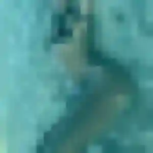 Tania, 19 ans, connectée à Bédarieux pour une rencontre coquine