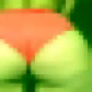 Amandine, femme de 45 ans veut rencontre coquine à Biarritz