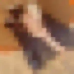 Profil de Rachel à Binic-Étables-sur-Mer (20 ans) - rencontre coquine discret