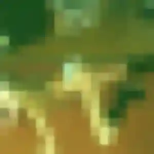 Dana, femme de 28 ans veut rencontre coquine à Bormes-les-Mimosas