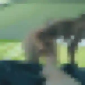 Leana (22 ans) à Bourg-Saint-Maurice cherche une rencontre maintenant