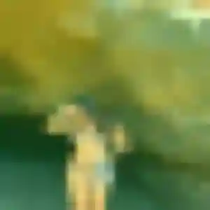 Contacte Delphine, 44 ans à Bras-Panon gratuitement
