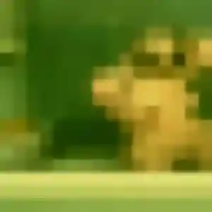 Photo privée de Yannick, 34 ans à Bras-Panon - plan discret