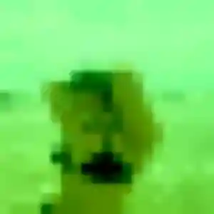 Sofia, 26 ans, disponible à Carbonne pour un rencontre coquine