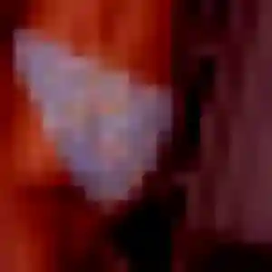 Photo privée de Diane, 34 ans à Cesson - rencontre coquine