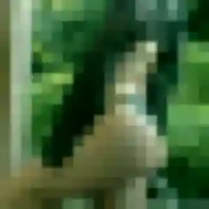 Isabelle, 42 ans, connectée à Chambourcy pour un rencontre coquine
