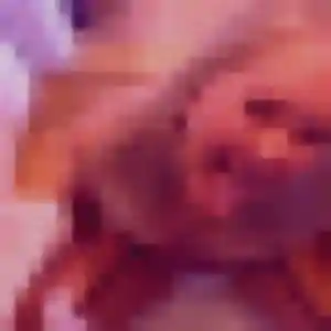 Sexy Flavia, 41 ans à Chartres-de-Bretagne - voir sa photo
