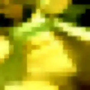 Photo exclusive de Flavie, 43 ans à Châteaubourg - rencontre coquine
