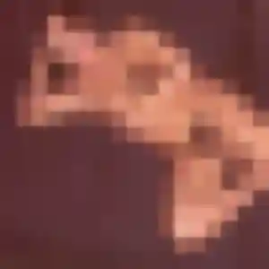 Fiona, 27 ans, en ligne à Chiconi pour un rencontre coquine