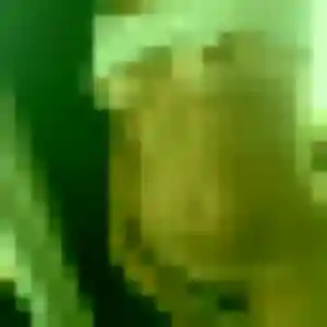 Estee, femme de 23 ans cherche rencontre coquine à Coutras