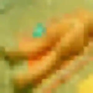 Sara, 32 ans, en ligne à Dives-sur-Mer pour une rencontre coquine