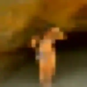 Heloise, 31 ans, en ligne à Dzaoudzi pour une rencontre coquine