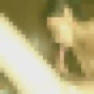 Samira, 23 ans, connectée à Ensuès-la-Redonne pour un rencontre coquine