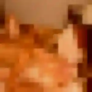 Contacte Raphaelle, 19 ans à Feignies en privé