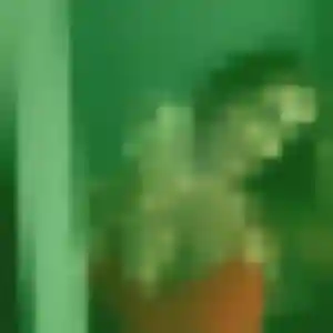 Blanche, 39 ans, veut un rencontre coquine à Gévezé