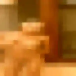 Gaelle (41 ans) à Gond-Pontouvre propose un rencontre coquine aujourd'hui