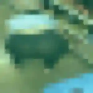 Olga, femme de 45 ans veut rencontre coquine à Grand-Santi