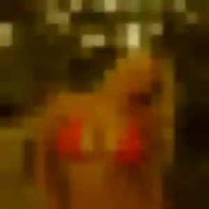 Sylviane, fille de 29 ans cherche rencontre coquine à Grandchamp-des-Fontaines