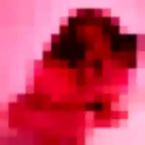 Karine, 37 ans, disponible à Halluin pour une rencontre coquine