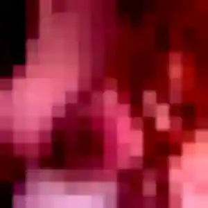Photo de Benedicte à L'Isle-Adam (25 ans) - rencontre coquine anonyme