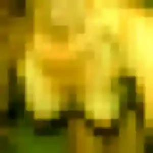 Photo de Odile à La Chapelle-d'Armentières (31 ans) - rencontre coquine gratuit