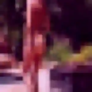 Photo sexy de Martine, 40 ans à La Crau - rencontre sans lendemain