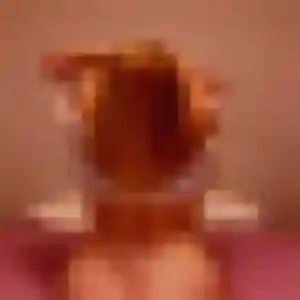 Ingrid, 32 ans, connectée à La Farlède pour une rencontre coquine