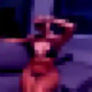 Profil de Justine à La Ferrière (43 ans) - rencontre coquine anonyme