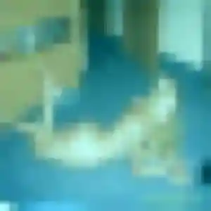 Marie-Therese (32 ans) à La Riche cherche un rencontre coquine ce soir