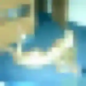 Sexy Morgane, 34 ans à Lannilis - découvrir son profil