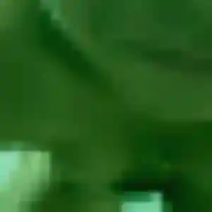 Joana, 38 ans, cherche un rencontre coquine à Le Grau-du-Roi