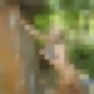 Solene, 24 ans, veut un rencontre coquine à Le Plessis-Trévise