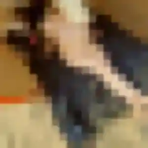 Elsa, fille de 27 ans propose rencontre coquine à Le Raincy