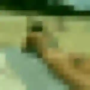 Constance, femme de 36 ans veut rencontre coquine à Le Thor