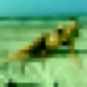 Blandine, 41 ans, dispo pour rencontre coquine à Léognan