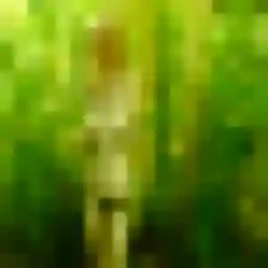 Margot de Lesquin, 19 ans - rencontre coquine sans prise de tête