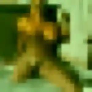 Photo de Touria à Lestrem (40 ans) - rencontre coquine gratuit