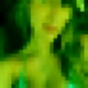 Fanny (41 ans) à Liancourt cherche une rencontre ce soir