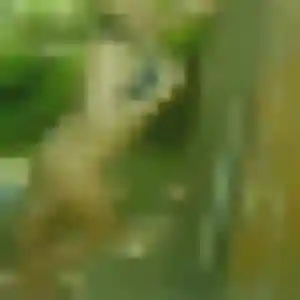 Profil de Florence à Lille (26 ans) - rencontre coquine discret