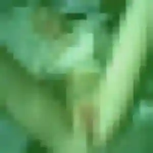 Blanche, 29 ans, cherche un rencontre coquine à Lutterbach