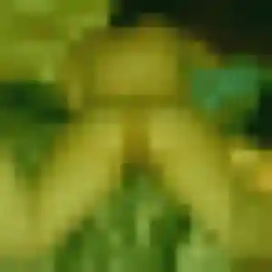 Profil de Samantha à Magnanville (24 ans) - rencontre coquine discret