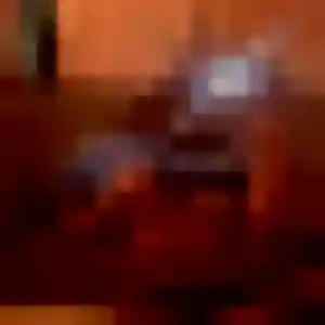 rencontre coquine à Marcq-en-Barœul : photo de Marie-Jose, 22 ans - accès libre