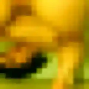Photo sexy de Stephanie, 31 ans à Marquise - rencontre coquine